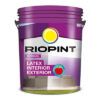 Látex Interior-Exterior Expresión Riopint
